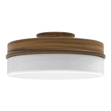 Flush & Semi Flush Mount